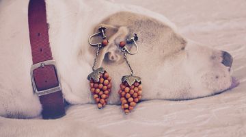 Vintage Silver/Silver Gilt Coral Grape Earrings